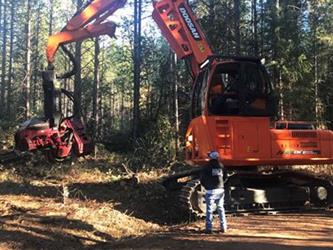 A forestry machine cutting down trees